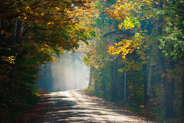 Road through morning fog and  autumn trees, Stowe Vermont, USA
