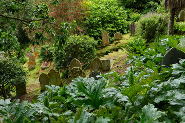 Naklejka premium Old Headstones of hillside cemetery with semi-tropical plants at St Just’s Church in St Just in Roseland Cornwall England