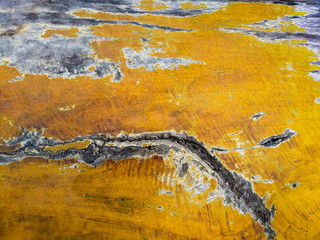 Obraz na płótnie Canvas Wood texture background surface old natural pattern