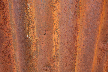 Old zinc wall surface Fence
