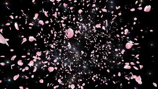 Cherry blossom petals dance in wind.