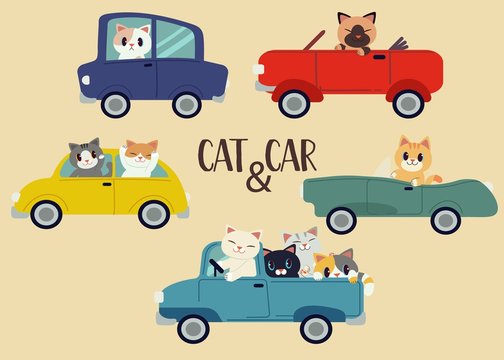 1 649 Best Cat Driving Car Images Stock Photos Vectors Adobe Stock