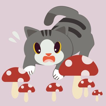 The cute cat look scary with a lot of red mushroom. cat and red poison mushroom. cute cat in flat vector style.