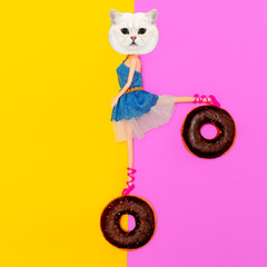 Funny Kitty on donuts.  Flat lay art. Donuts lover concept