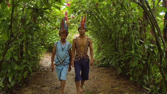 Indigenous People Going To Cut A Liana Of Ayahuasca In Ecuador