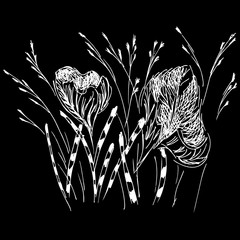 Linear icon with white wildflowers outline hand on black background. Vector sketch. Logo design. Cute hand drawn illustration. Flower pattern. White background isolated