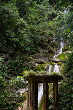 abandoned surrealistic Garden in Xilitla Mexico