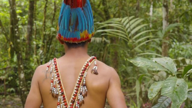 Amazonian Indigenous Man Going Walking Trough Amazonian Jungle Follow Shot In Ecuador
