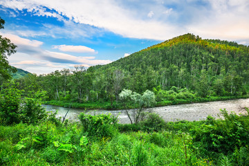 Fototapeta premium A River Sema. Altai Republic, Russia