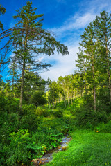 River Baragan. Shebalinsky district, Gorny Altai, Russia