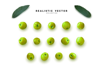 Set of realistic rowan berries, hawthorn, viburnum. vector illustration