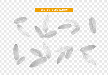 Fototapeta premium Leaves from the tree. set of realistic simple petals and leaves. Vector illustration