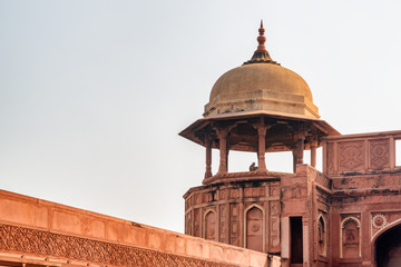 Amazing view of red sandstone octagonal tower with dome, Agra