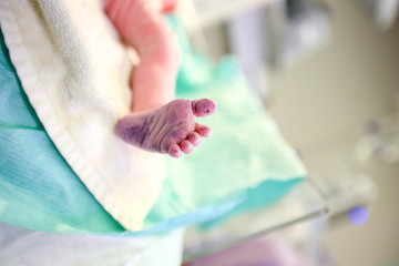 newborn baby feet in the incubator