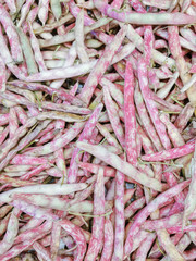 roman bean caps top view