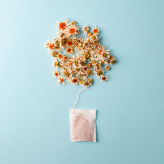 Close up of tea time. Dry camomile tea in the tea bag, minimal concept. Chamomile anti-depression beverage creative lay out
