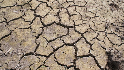 Soil lacking water, causing cracking