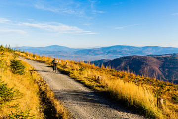 Mountain biking woman riding on bike in summer mountains forest landscape. Woman cycling MTB flow trail track. Outdoor sport activity.