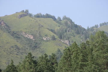 Nature
