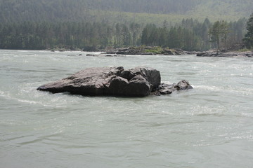 Fototapeta premium Nature