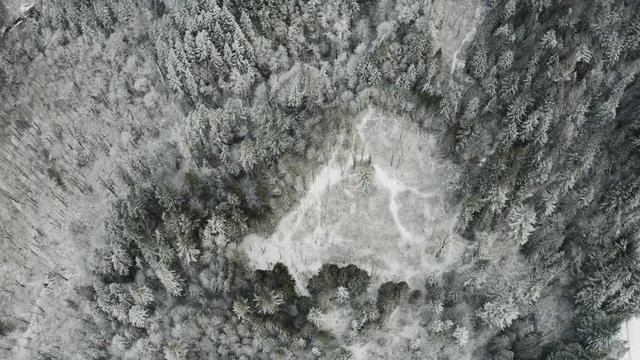 Burke Mountain Coquitlam - Arial Shot