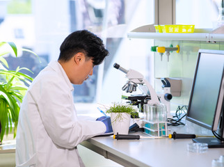 Scientist working in lab. Asian doctor making medical research. Laboratory tools: microscope, test tubes, equipment. Biotechnology, chemistry, science, experiments and healthcare concept.