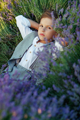 Little boy in a field with flowers. 