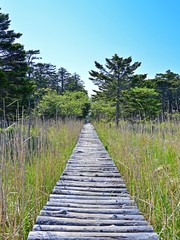 落石岬の遊歩道の情景＠根室、北海道