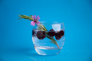 gin and tonic with blackberries, a sprig of rosemary and a flower of ornament