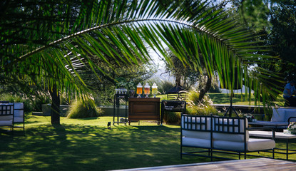 park decorated with cane armchairs with white cushions, a juice bar and trees, palm trees and...