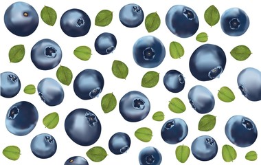 Forest berry with leaft in motion. Top view. Collection fresh ripe blueberry. 3d realistic blueberry on white background. Macro texture. Icons blueberry close up. Vector illustration.