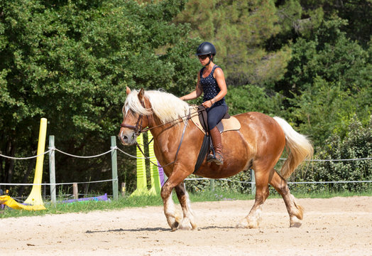 riding girl and horse