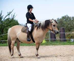 Obraz premium riding girl and horse