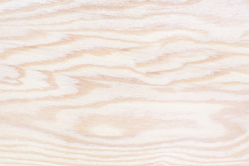 plywood texture with gnarl and natural wood pattern