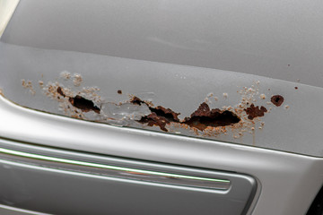 Rostiger Kotflügel eines silbernen Autos ist komplett durchgerostet, sodass der Schaden dringend zu reparieren und restaurieren ist