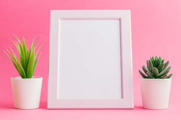 Succulent plants on pastel pink background. Flat lay.