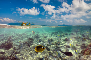 Fototapeta na wymiar Underwater Scene With Reef And Tropical Fish