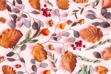 Autumn composition. Pattern made of dried leaves, flowers on pink background. Autumn, fall concept....