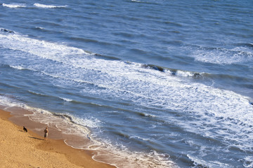 Man with a dog walking on the beach and look into the distance beyond the horizon