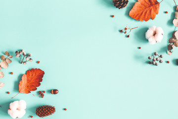 Autumn composition. Dried leaves, cotton flowers on pastel blue background. Autumn, fall, winter...