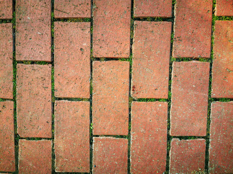 Red Brick Road Grasses In The Gaps