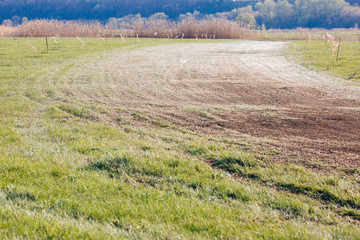 Turn of atv race track. Dust and grass