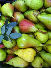   Pile of fresh ripe green pears displayed at the fruit Italian market  for background                           