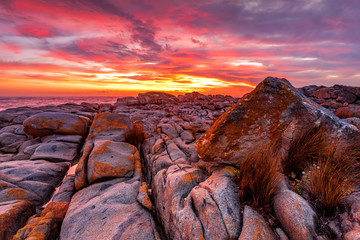 Rich red sunrise over the rocky coast Australia © Leah-Anne Thompson