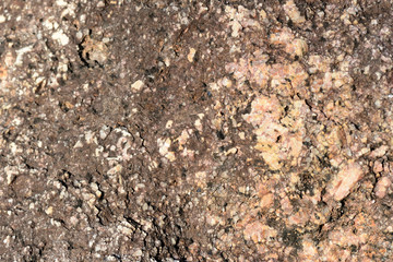Stone texture on the seashore close up. Natural abstract ackground	