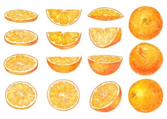 Set of fruit illustrations with Orange in watercolor. Sweet and fresh fruit elements for menu, greeting cards, wrapping paper, cosmetics packaging, labels, tags, posters