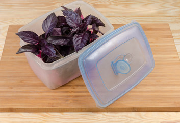 Purple basil in open plastic container on a wooden surface