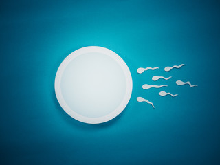 Insemination - concept of conceiving a child / contraception