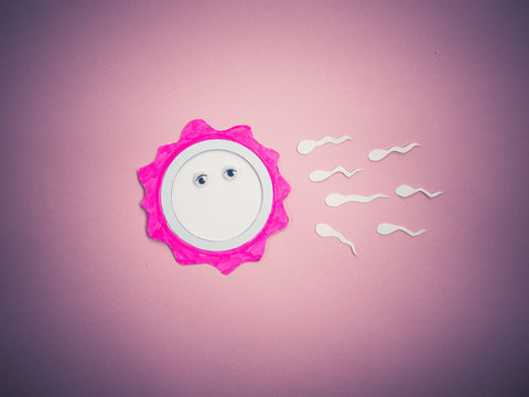 contraception - contraceptive, egg cell and sperms - concept of sexual act