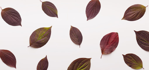 Creative autumn background with dark colored small leaves